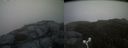 ./images/calvert/buxton2/20160725/buxton220160725_211521M.jpg