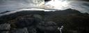./images/calvert/buxton2/20160728/buxton220160728_081508M.jpg