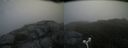 ./images/calvert/buxton2/20160729/buxton220160729_075022M.jpg