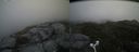 ./images/calvert/buxton2/20160729/buxton220160729_133008M.jpg