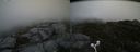 ./images/calvert/buxton2/20160729/buxton220160729_133507M.jpg