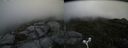 ./images/calvert/buxton2/20160729/buxton220160729_142007M.jpg