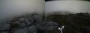 ./images/calvert/buxton2/20160729/buxton220160729_155525M.jpg