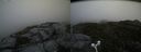 ./images/calvert/buxton2/20160729/buxton220160729_164028M.jpg