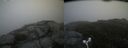 ./images/calvert/buxton2/20160730/buxton220160730_113016M.jpg
