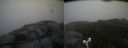 ./images/calvert/buxton2/20160730/buxton220160730_113524M.jpg