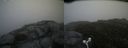 ./images/calvert/buxton2/20160730/buxton220160730_114055M.jpg
