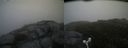 ./images/calvert/buxton2/20160730/buxton220160730_120507M.jpg