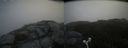 ./images/calvert/buxton2/20160730/buxton220160730_121533M.jpg