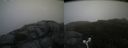 ./images/calvert/buxton2/20160730/buxton220160730_131516M.jpg