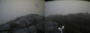 ./images/calvert/buxton2/20160730/buxton220160730_150022M.jpg