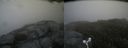 ./images/calvert/buxton2/20160730/buxton220160730_151101M.jpg