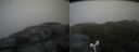 ./images/calvert/buxton2/20160730/buxton220160730_164522M.jpg