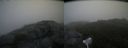 ./images/calvert/buxton2/20160731/buxton220160731_090517M.jpg
