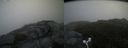 ./images/calvert/buxton2/20160731/buxton220160731_093552M.jpg