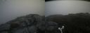 ./images/calvert/buxton2/20160731/buxton220160731_095015M.jpg