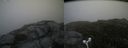 ./images/calvert/buxton2/20160731/buxton220160731_103026M.jpg