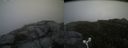 ./images/calvert/buxton2/20160731/buxton220160731_112536M.jpg