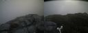 ./images/calvert/buxton2/20160731/buxton220160731_115019M.jpg