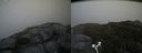 ./images/calvert/buxton2/20160731/buxton220160731_120507M.jpg