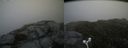 ./images/calvert/buxton2/20160731/buxton220160731_122020M.jpg