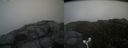 ./images/calvert/buxton2/20160731/buxton220160731_123018M.jpg