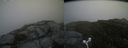 ./images/calvert/buxton2/20160731/buxton220160731_123554M.jpg
