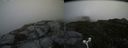 ./images/calvert/buxton2/20160731/buxton220160731_155508M.jpg