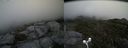 ./images/calvert/buxton2/20160731/buxton220160731_162026M.jpg