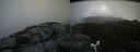 ./images/calvert/buxton2/20160731/buxton220160731_163525M.jpg