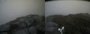 ./images/calvert/buxton2/20160731/buxton220160731_164517M.jpg