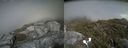 ./images/calvert/buxton2/20160802/buxton220160802_155530M.jpg