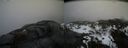 ./images/calvert/buxton2/20170327/buxton220170327_161553M.jpg