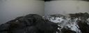 ./images/calvert/buxton2/20170327/buxton220170327_172007M.jpg