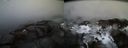 ./images/calvert/buxton2/20170327/buxton220170327_194052M.jpg
