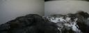 ./images/calvert/buxton2/20170328/buxton220170328_100620M.jpg