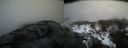 ./images/calvert/buxton2/20170328/buxton220170328_174552M.jpg