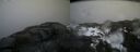./images/calvert/buxton2/20170328/buxton220170328_181057M.jpg