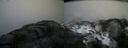 ./images/calvert/buxton2/20170328/buxton220170328_182048M.jpg