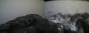 ./images/calvert/buxton2/20170328/buxton220170328_185056M.jpg
