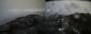 ./images/calvert/buxton2/20170405/buxton220170405_182528M.jpg
