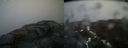 ./images/calvert/buxton2/20170406/buxton220170406_163601M.jpg