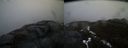./images/calvert/buxton2/20170408/buxton220170408_071544M.jpg