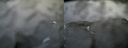 ./images/calvert/buxton2/20170408/buxton220170408_090014M.jpg