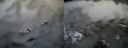 ./images/calvert/buxton2/20170408/buxton220170408_090502M.jpg
