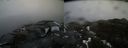 ./images/calvert/buxton2/20170408/buxton220170408_125045M.jpg