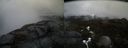 ./images/calvert/buxton2/20170410/buxton220170410_123952M.jpg