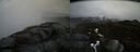 ./images/calvert/buxton2/20170410/buxton220170410_132941M.jpg