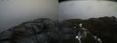 ./images/calvert/buxton2/20170410/buxton220170410_141014M.jpg
