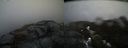 ./images/calvert/buxton2/20170410/buxton220170410_142028M.jpg